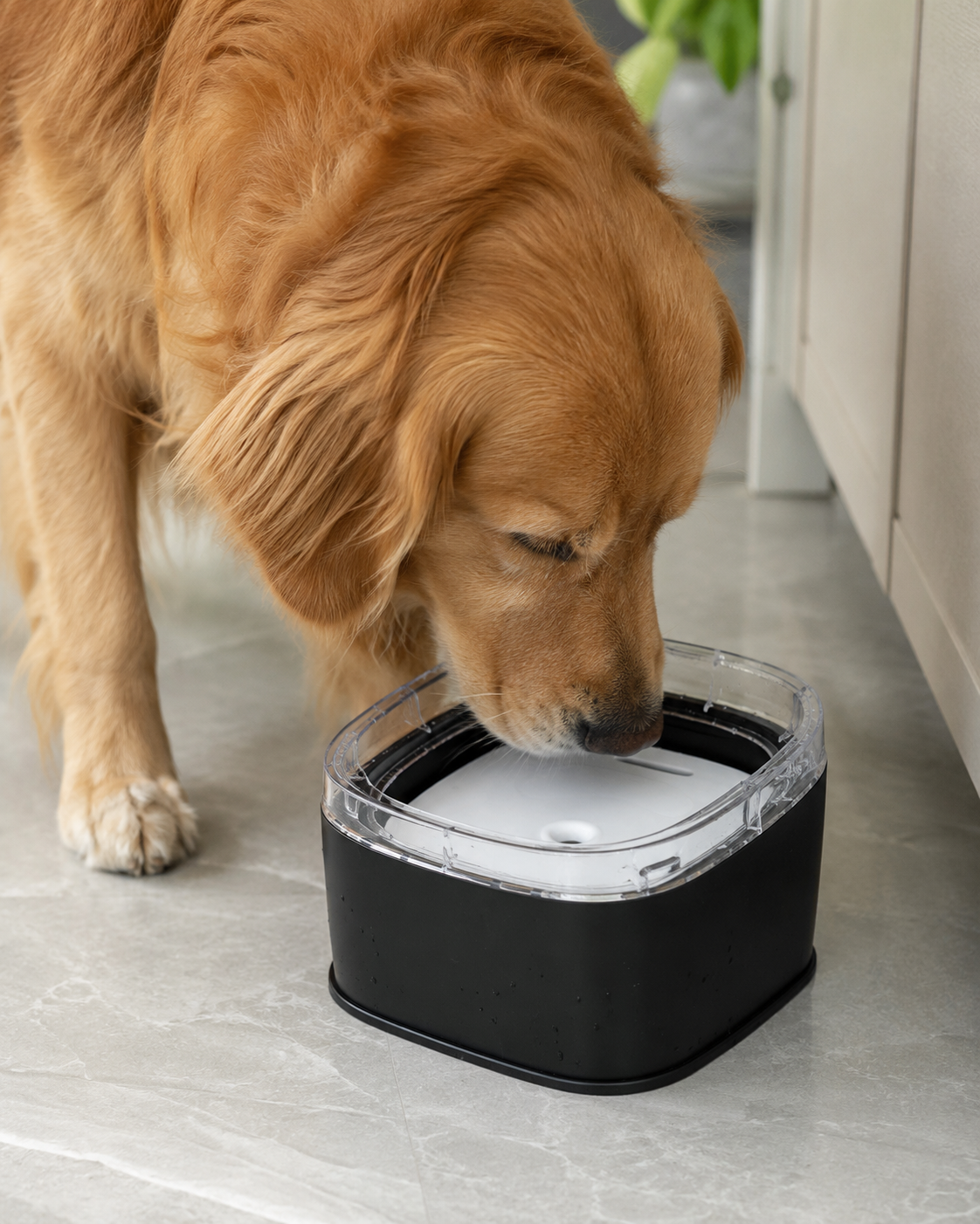 No-Spill Floating Dog Bowl
