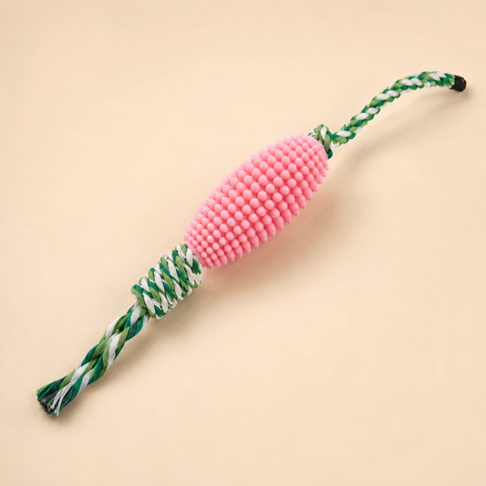 Corn Dental Chew Toy