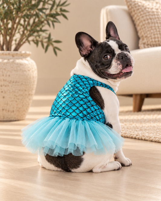 Mermaid Dog Costume