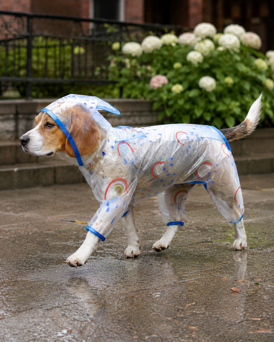 Rainbow Raincoat for Pups