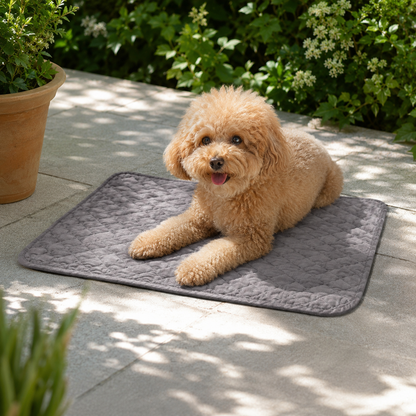 CozyShield Waterproof Pet Mat