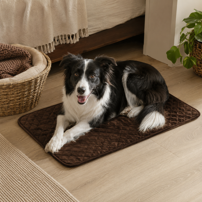 CozyShield Waterproof Pet Mat