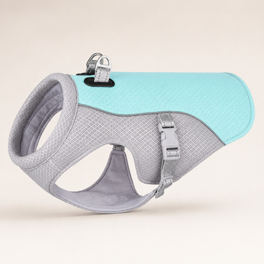 CoolPup Summer Walking Vest