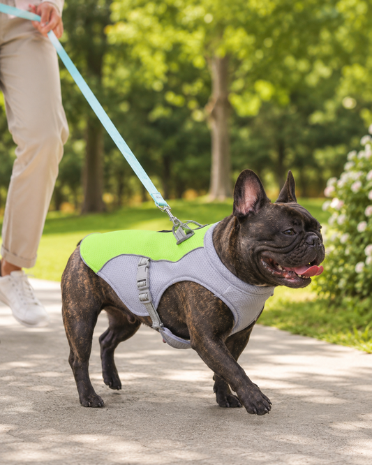 CoolPup Summer Walking Vest