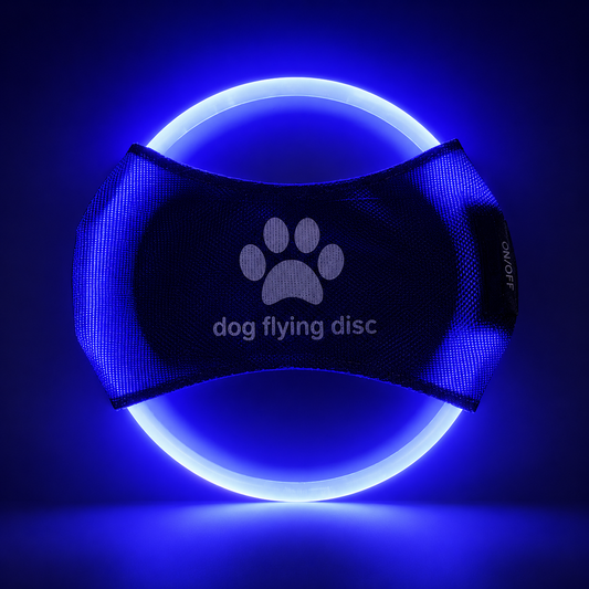 GlowFetch Rechargeable LED Flying Disc