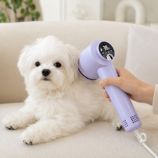 Blow-Dry Grooming Brush for Dogs