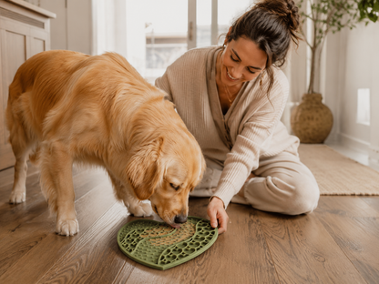 Heart Shaped Dog Licking Mat