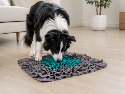 BloomSniff Snuffle Mat