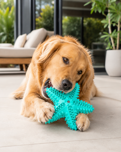 StarBite Dental Chew Toy