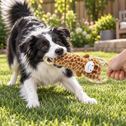 Safari Plush & Tug