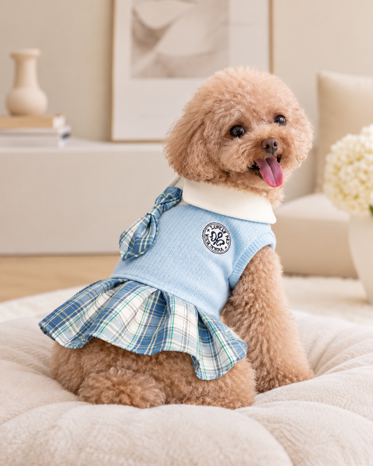 Rory Gilmore Dog Costume
