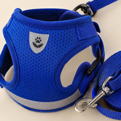 Set de arnés y correa Pupzy ComfortFit